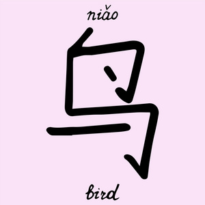 翻译成英文的汉字鸟显示学习英语的文本符号.