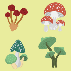 鹅膏菌飞金顶毒蕈蘑菇菌不同的艺术风格设计矢量图红色帽子