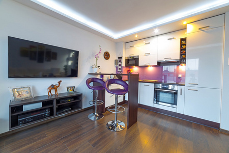 厨房和客厅大空开放式厨房与客厅的房子内部开放式厨房与客厅简约的斯