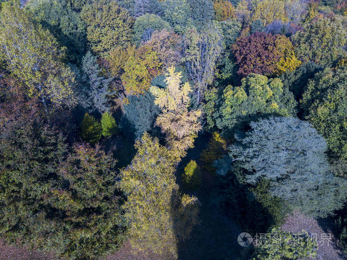 自然和风景 公园的鸟瞰图, 秋天叶子, 绿叶树和草甸, 绿色区域, 生态学