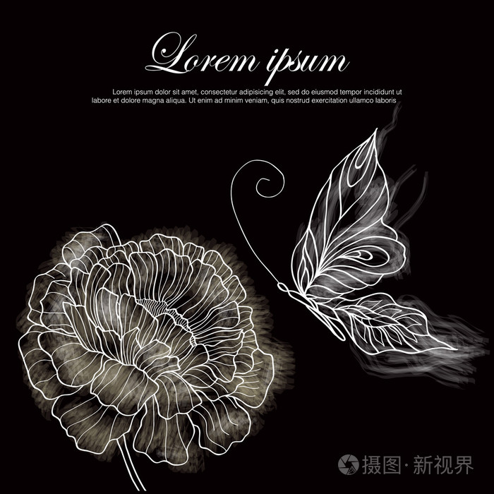花卉和蝴蝶从复古风格植物学绘图黑色背景插画-正版商用图片06gkvw-摄