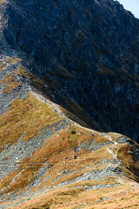 斯洛伐克喀尔巴阡山在秋季。墙上的岩石纹理