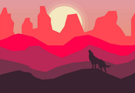 日落时沙漠背景下的郊狼