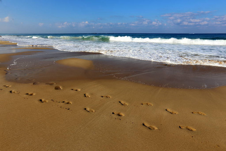 以色列北部地中海的沙质海岸图片