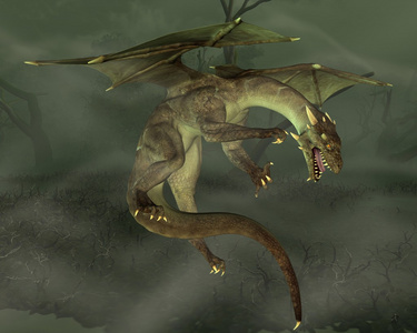 绿色的沼泽龙照片