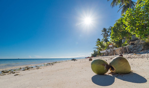 在安达海滩和椰子棕榈岛的椰子树的看法