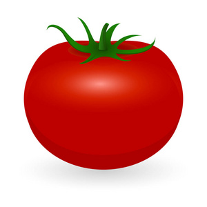 番茄病媒分离