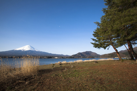 从湖山富士视图