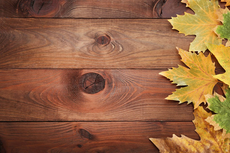 秋天的落叶，木制的桌子上