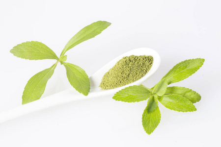 甜菊植物-甜菊菊粉中的天然甜味剂照片
