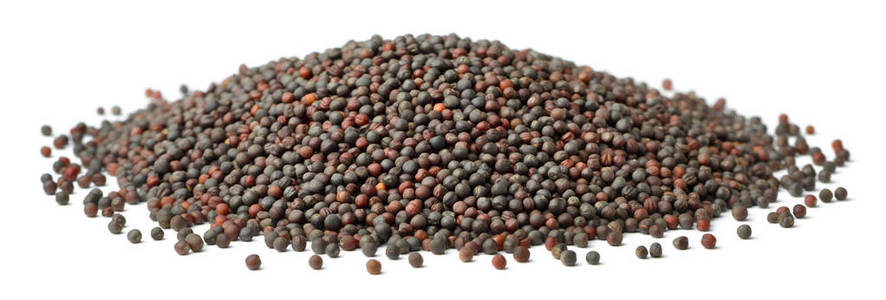 油菜种子在白色背景查出的干油菜籽种子照片