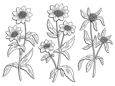 鬼草针图片-鬼草针素材-鬼草针插画-摄图新视界