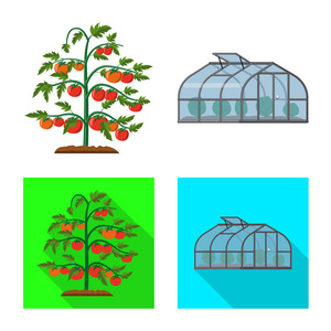 温室和植物符号的向量例证。温室和花园股票矢量图集