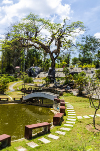 在泰国的城市花园图片