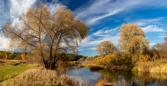 秋天的风景。河和秋森林景观