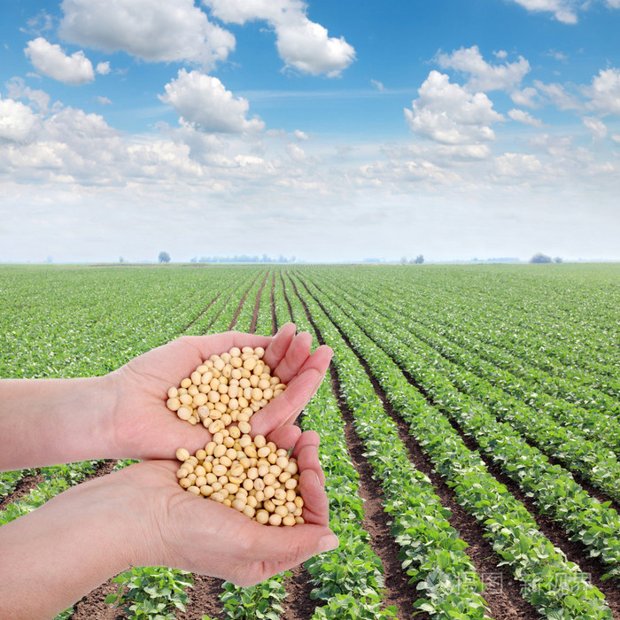 农业照片-正版商用图片06hhie-摄图新视界