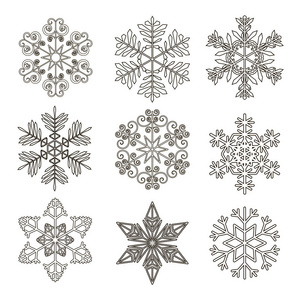 组的雪花。矢量插画