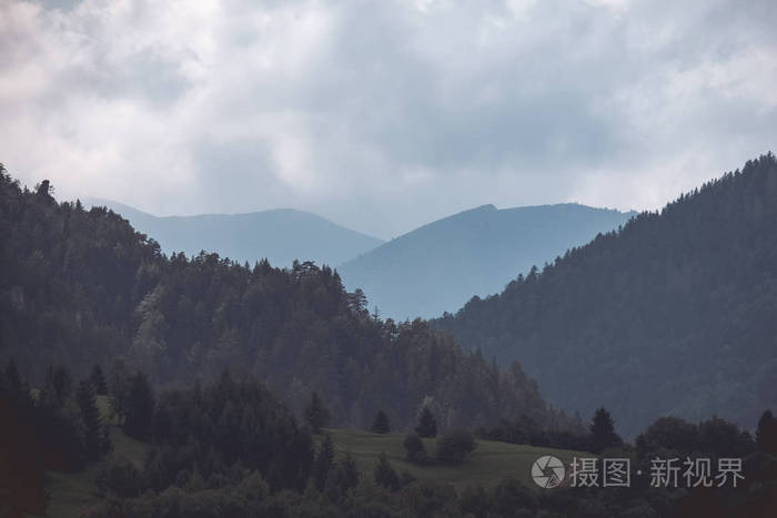 西部大兴安岭云雾林全景图