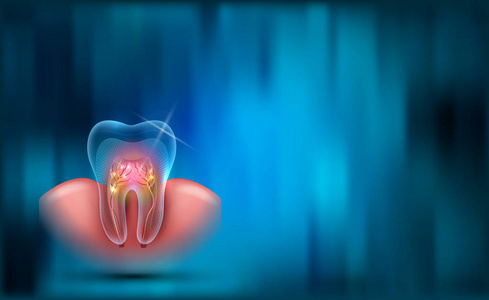 牙齿背景, 透明的牙齿横截面, 根和口香糖在一个美丽的蓝色抽象背景
