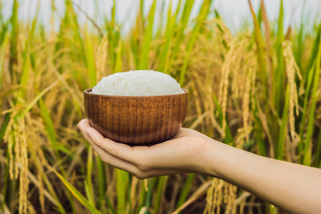 手捧谷物田间煮饭女手捧木碗照片