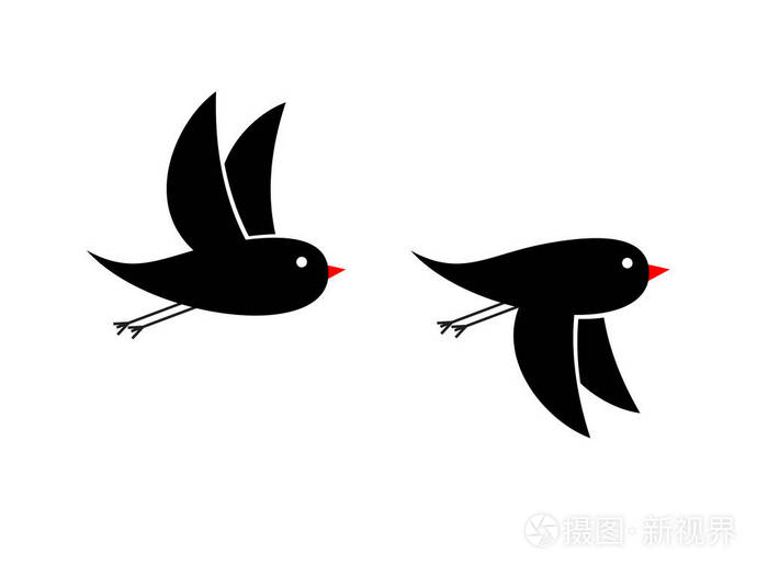 飞行小黑鸟