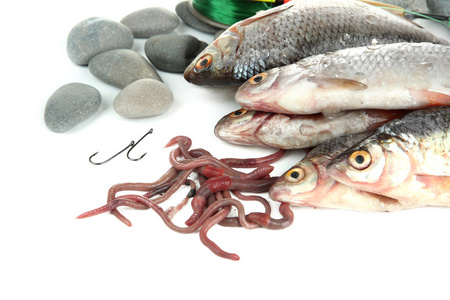 鱼类和捕鱼工具在白色隔离图片
