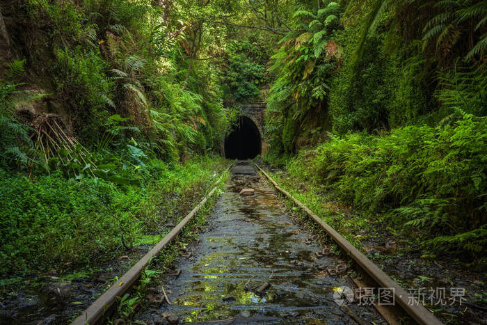 悉尼附近海伦斯的废弃铁路线和隧道