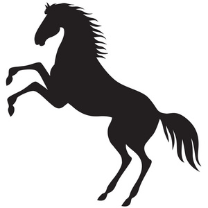 剪影美丽的马图片