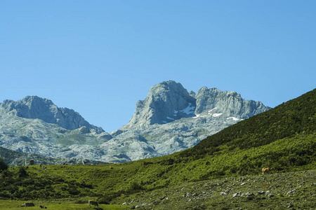 西班牙欧洲阿斯图里亚斯的山峰