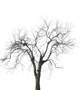 五彩缤纷的秋天落叶质地.户外秋季公园的空板凳在落叶之间.