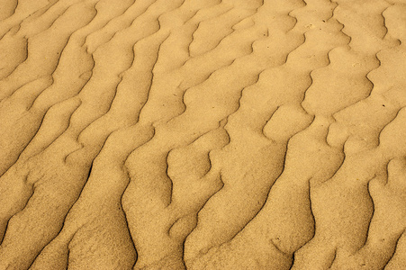 沙漠砂纹理