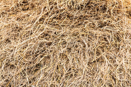 干稻草图片-干稻草素材-干稻草插画-摄图新视界