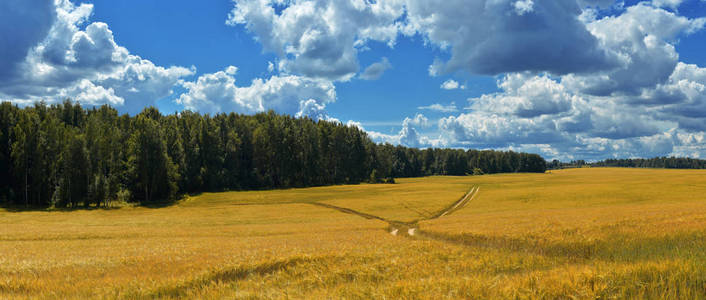 俄罗斯自然无边的俄罗斯田野, 伟大的全景, Gremiachiy, 俄罗斯