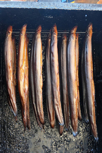 新鲜熏鳗鱼鱼在烤箱。熏制