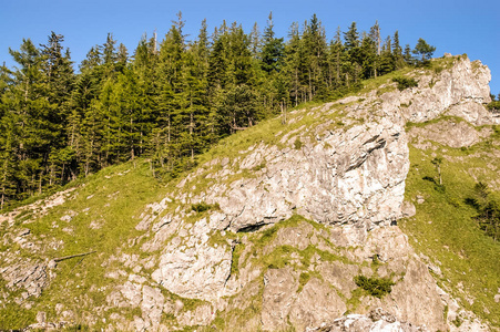 Tatra 山风景, 森林和山岩石