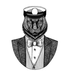 豹, 美洲狮, 美洲狮动物穿夹克与弓领带和 capitans 尖顶帽优雅的水手, 海军, 船长, 海盗。图像为纹身, tshi