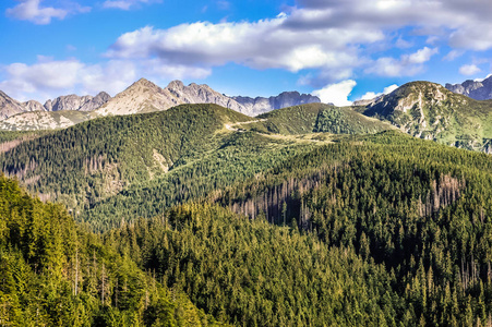 Tatra 山脉和森林, 鸟瞰图