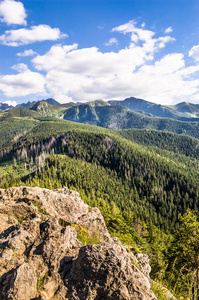 Tatra 山脉和森林, 鸟瞰图