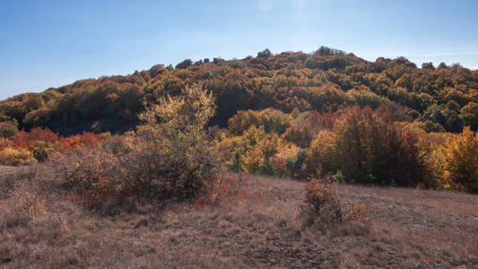 Cherna 戈拉 蒙黑 山, Pernik 地区, 保加利亚的惊人的秋天风景