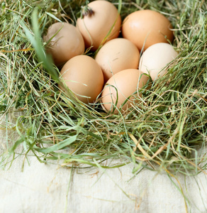 新鲜鸡蛋在巢