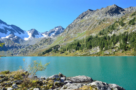 阿尔泰地区, Koksinsky 区, Poperechnoye 湖 十字 在阳光明媚的天气