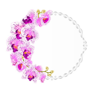 花向量圆框与兰花紫色和白色花热带植物蝴蝶兰复古节日背景矢量插画手
