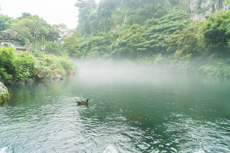 在济州岛天地渊瀑布公园花园