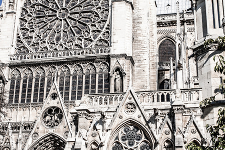 大教堂巴黎圣母院巴黎 法国 欧洲