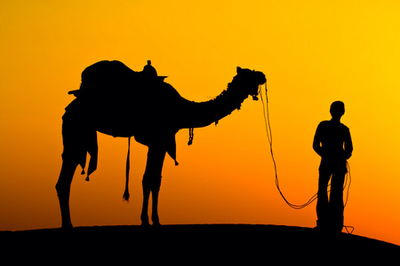 一个男人和一个黄昏时，印度的骆驼的剪影