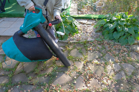 一个女人用吸尘器清洁树叶