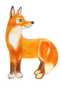 水彩插图站立可爱滑稽毛茸茸的红色狐狸与大粉红色的耳朵和绿色的眼睛与蓬松的白色尾巴是向右转右惊讶