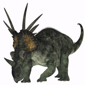 在白色 styracosaurus