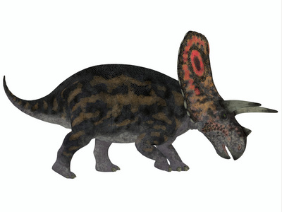 伤恐龙配置文件牛角龙损失配置文件照片