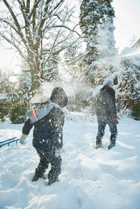 伙计们都在冬天玩雪